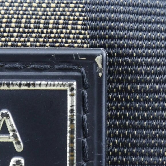 FENDI Pecan Stripe Waist bag 7VA446 body bag Brown Nylon canvas unisex - Picture 13 of 14